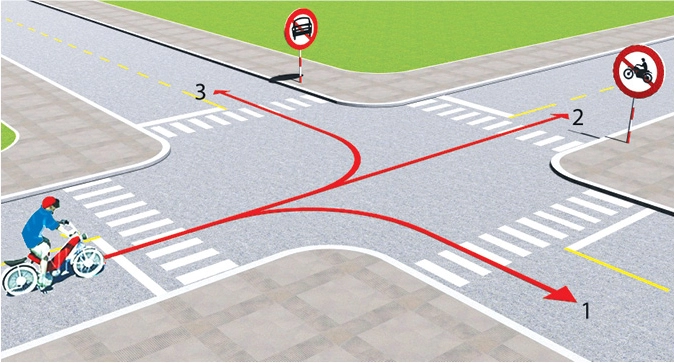 Minh họa câu hỏi 147