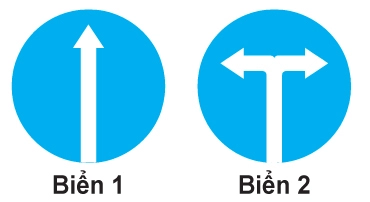 Minh họa câu hỏi 19